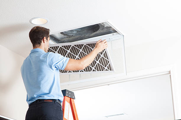 Best Central Air Repair  in Laporte, CO